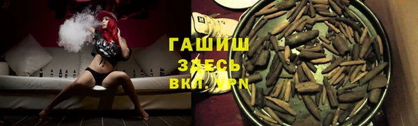сатива Аркадак