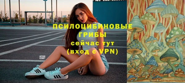сатива Аркадак
