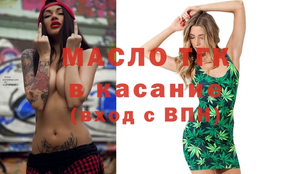 сатива Аркадак